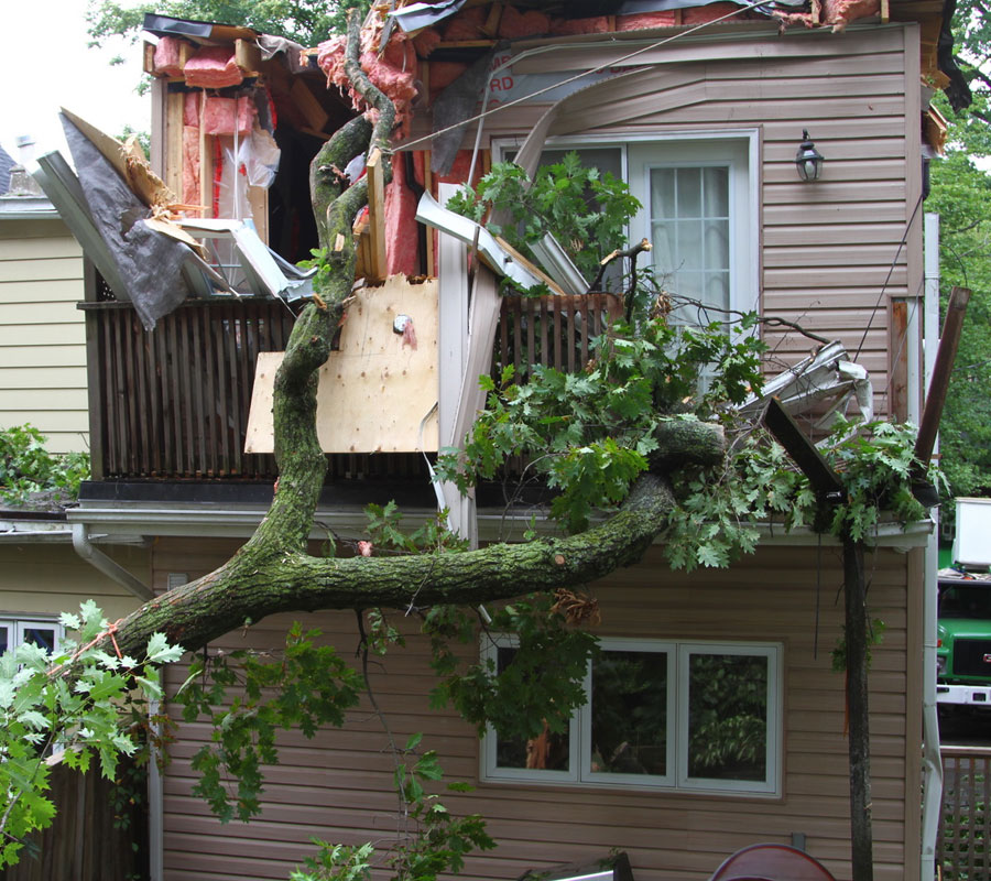 Why tree removal is important after storm damage